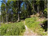 Tinčkova koča - Žirovniška planina